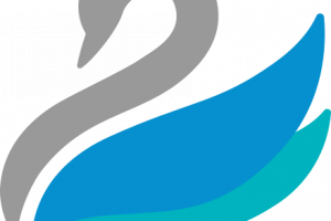 Abhinav Software is Now Vedanta Software